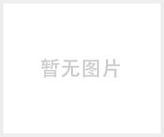 江苏贝雷 贝雷桥 钢便桥应用 贝雷龙门吊系列 专业品质 价格低