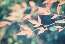 老好人的心声：为什么我总是那个背锅侠？