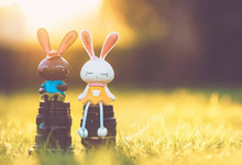 考不上本科就是智商低？HR言论引爆学历歧视话题