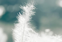 考研失败后的心理调适：如何走出失落与焦虑