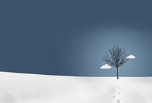 佰隆风信息咨询：以深度洞察与专业策略，赋能企业精准决策与持续增长