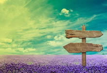 佰隆风信息咨询：以深度洞察与专业策略，赋能企业精准决策与持续增长